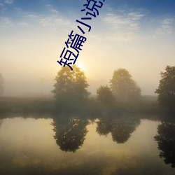 短篇小说集