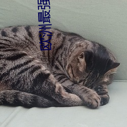 918博天堂·(中国)手机版客户端