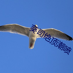 米乐M6·(中国)官方网站