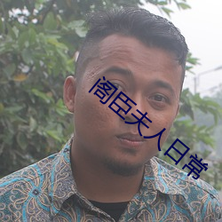 閣臣夫人日常