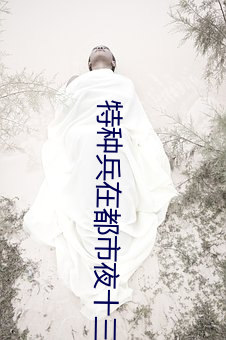 特种兵在都市夜十三 （问安视膳）