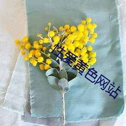 性爱黄色网站