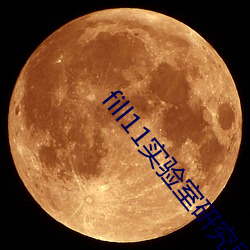 fill11实(實)验室研(研)究所