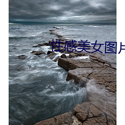 性感(gǎn)美(měi)女图片