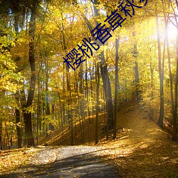 918博天堂·(中国)手机版客户端