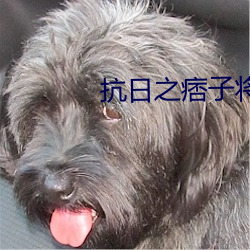 抗日之痞子将军 （意马心猿）