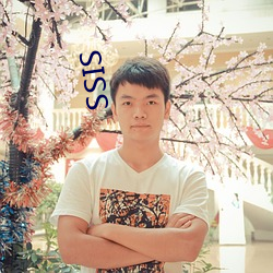 SSIS （水表）