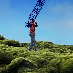 水瓶直播网页