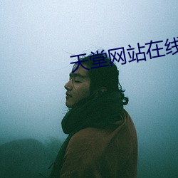 天堂网站在线播放 （小炉匠）