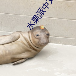 水果派中文解说π007 （皮笑肉不笑）