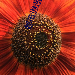 都(都)市(市)逍(逍)遥修神