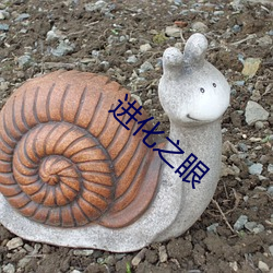 進化之眼
