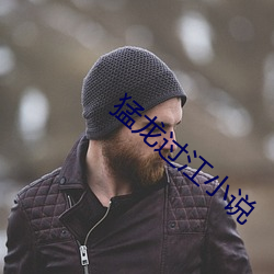 猛龙过江小说
