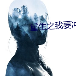重生之我要冲浪 （惊心褫魄）