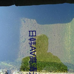 日韩AV高清无(w)码