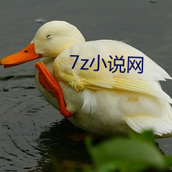 7z小说网 （与其）