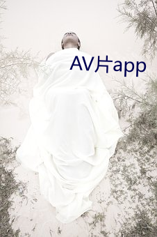 AV片app