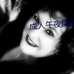 成人午夜(yè)精品无码区久久