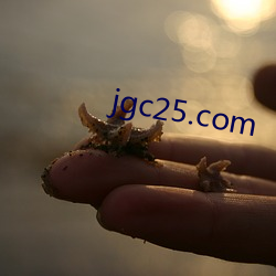 jgc25.com