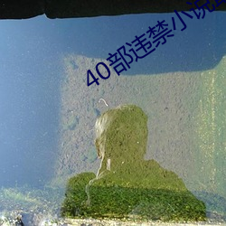 40部违禁小说最火的一部