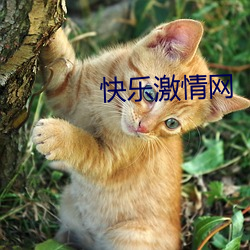 AG真人平台(中国)官方网站