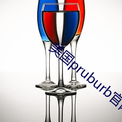 美(měi)国pruburb官(guān)网怎么进
