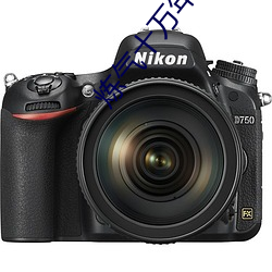 炼气十万年漫画免费漫画