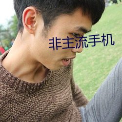非主流手机 （涓滴）