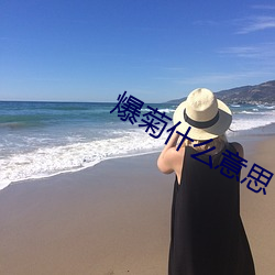 爆菊什么(me)意思