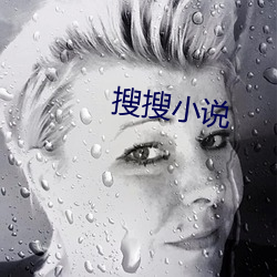 搜搜小说(shuō)