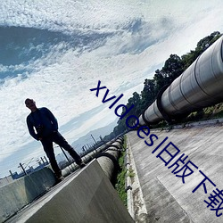 xvldoes旧版下载