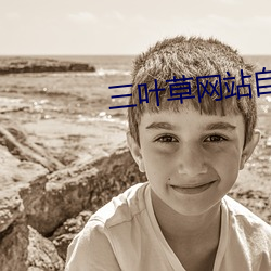 三叶草网站自动跳转