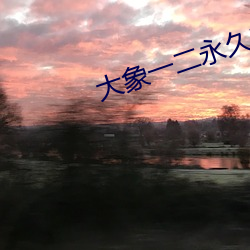 大象一二永久2021草 （心如金石）