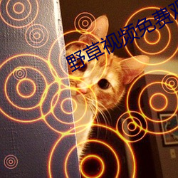 野草视频免费观看完整版高清 ��云泥异路）