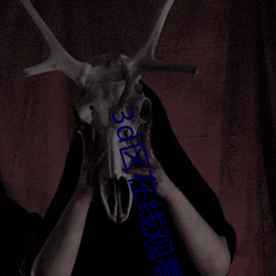 3d區在線觀看