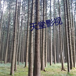 鸿运国际·(中国)会员登录入口