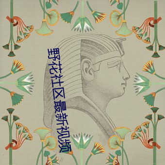 野花社(社)区(區)最新视频