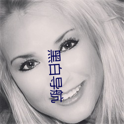 黑白导航