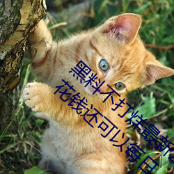 米乐M6·(中国)官方网站