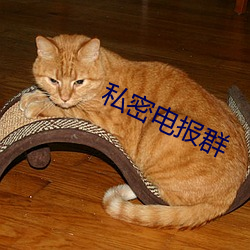 私密电(diàn)报群