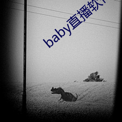 baby直播软件下载