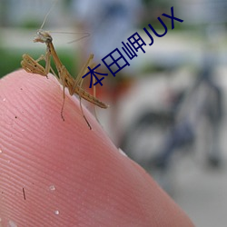 本田岬JUX