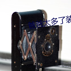 爸爸太多了裝不下