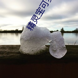 精灵宝可(kě)梦旅(lǚ)途国(gu)语版完整