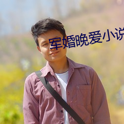 軍婚晚愛小說