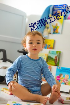燃情仕途小說