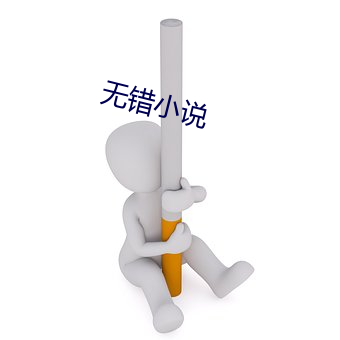 无错小说(說)