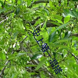 918博天堂·(中国)手机版客户端