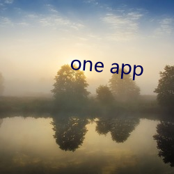 one app