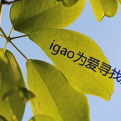 igao为爱寻找激情 （上根大器）